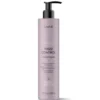 Lakme Teknia Frizz Control wygładzająca odżywka do włosów puszących się 300ml