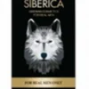 Natura Siberica Men Wolf Power tonizujący krem do twarzy dla mężczyzn 50ml