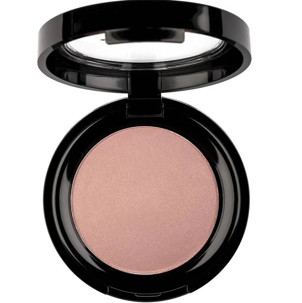 Pierre Rene Professional Rouge Powder róż do policzków 09 6g
