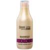 Stapiz Sleek Line Colour Shampoo szampon z jedwabiem do włosów farbowanych 300ml